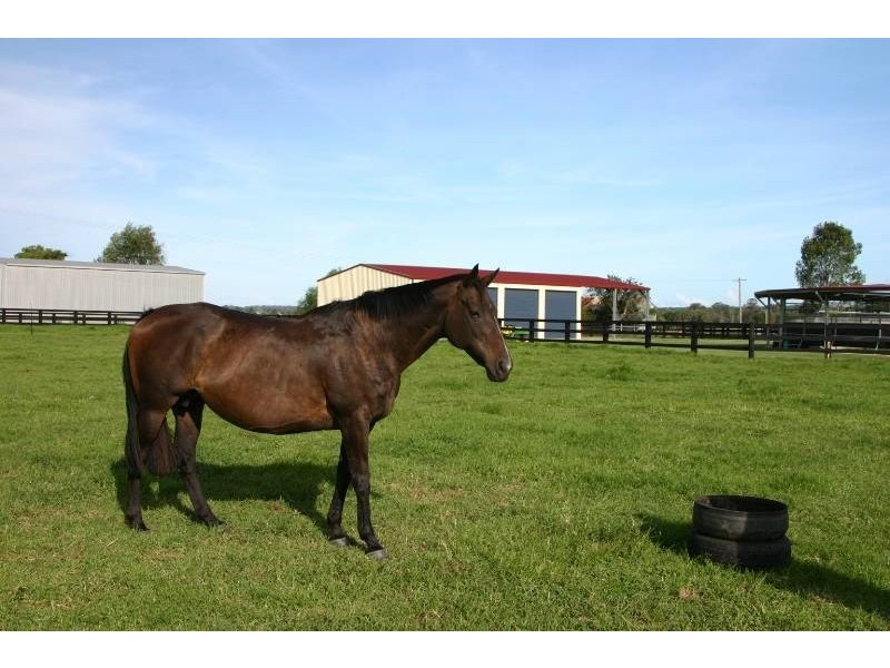 25 Hayes Lane, Taree NSW 2430