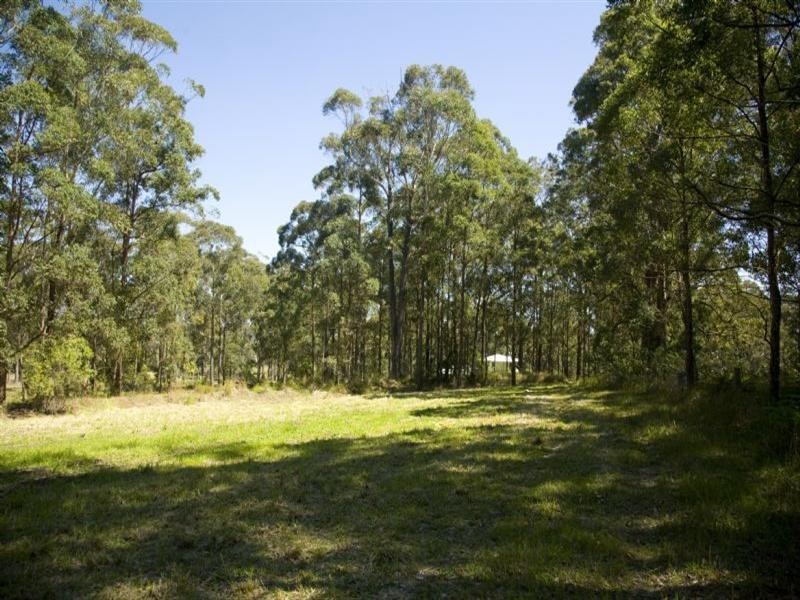 Mitchells Island NSW 2430