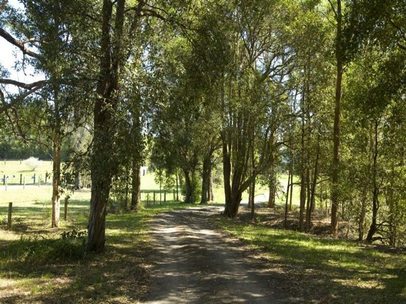 Mitchells Island NSW 2430