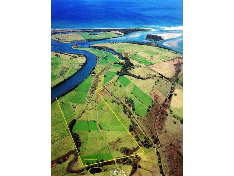 Oxley Island NSW 2430