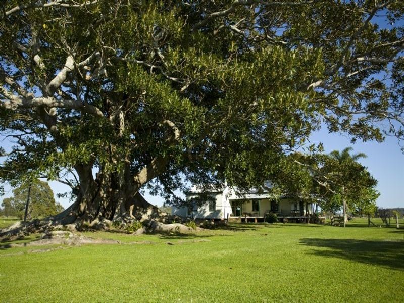 Oxley Island NSW 2430