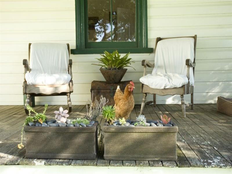 Oxley Island NSW 2430