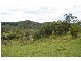 Strathcedar NSW 2429