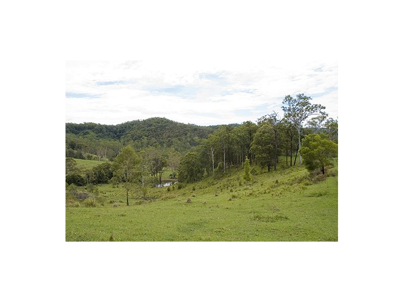 Strathcedar NSW 2429