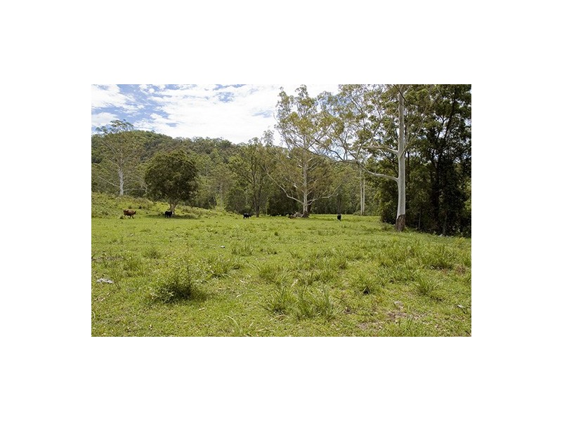 Strathcedar NSW 2429