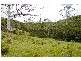 Strathcedar NSW 2429