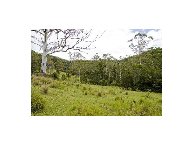 Strathcedar NSW 2429