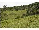 Strathcedar NSW 2429