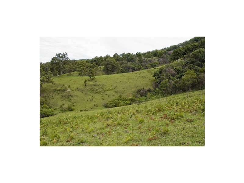 Strathcedar NSW 2429