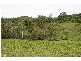 Strathcedar NSW 2429