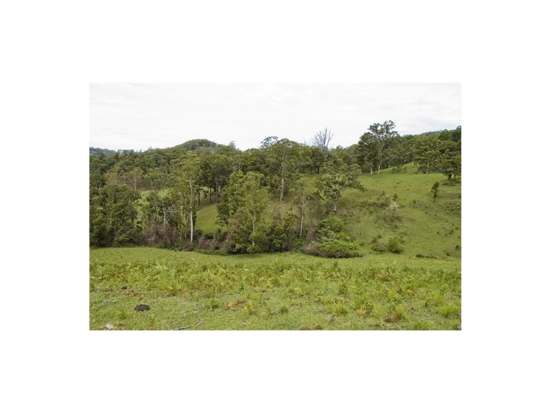 Strathcedar NSW 2429