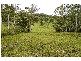 Strathcedar NSW 2429