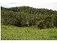 Strathcedar NSW 2429