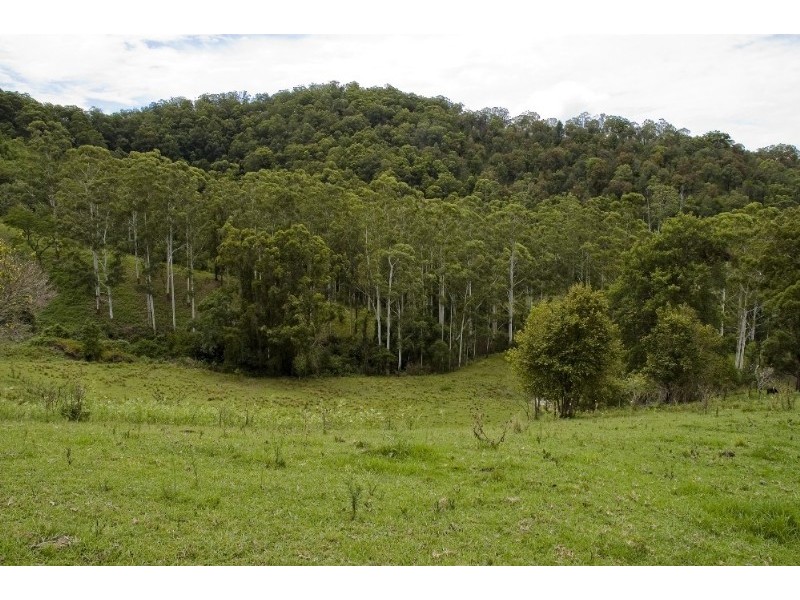 Strathcedar NSW 2429