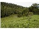 Strathcedar NSW 2429