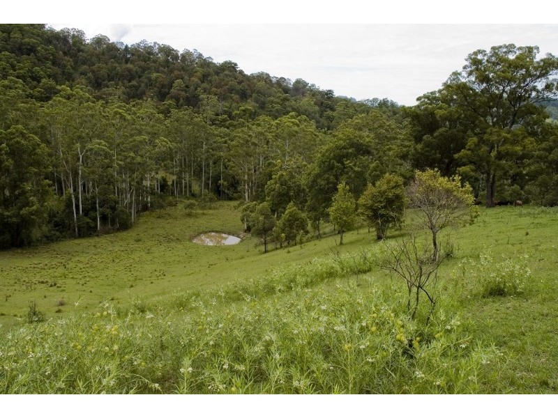 Strathcedar NSW 2429