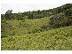 Strathcedar NSW 2429