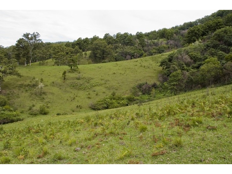 Strathcedar NSW 2429