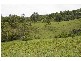 Strathcedar NSW 2429