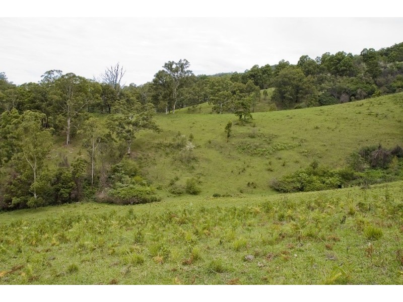 Strathcedar NSW 2429