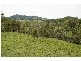 Strathcedar NSW 2429