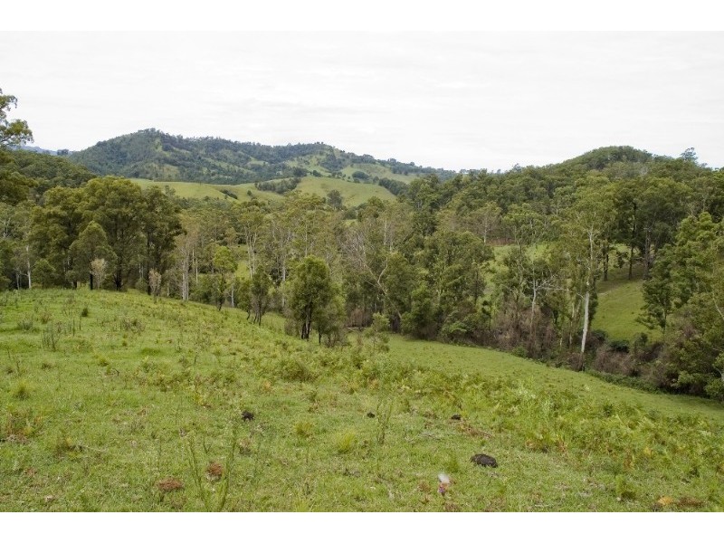 Strathcedar NSW 2429