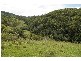 Strathcedar NSW 2429