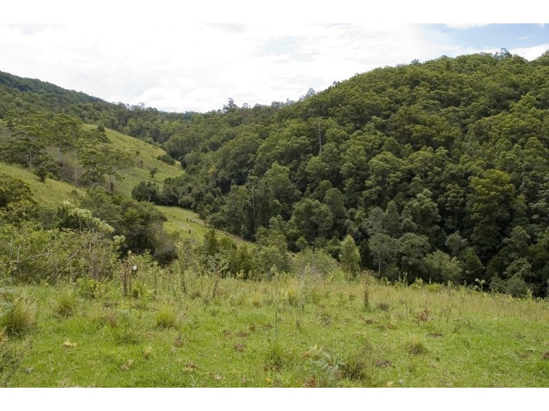 Strathcedar NSW 2429