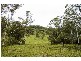 Strathcedar NSW 2429