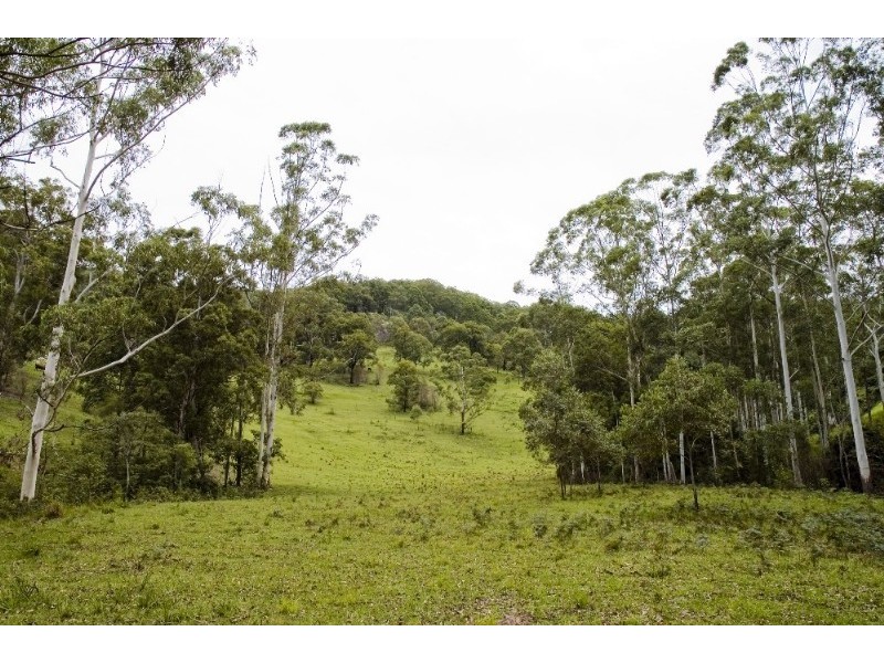Strathcedar NSW 2429
