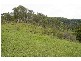 Strathcedar NSW 2429