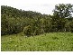 Strathcedar NSW 2429