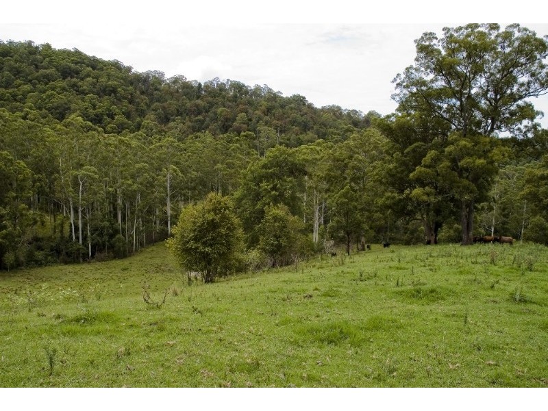 Strathcedar NSW 2429