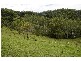 Strathcedar NSW 2429