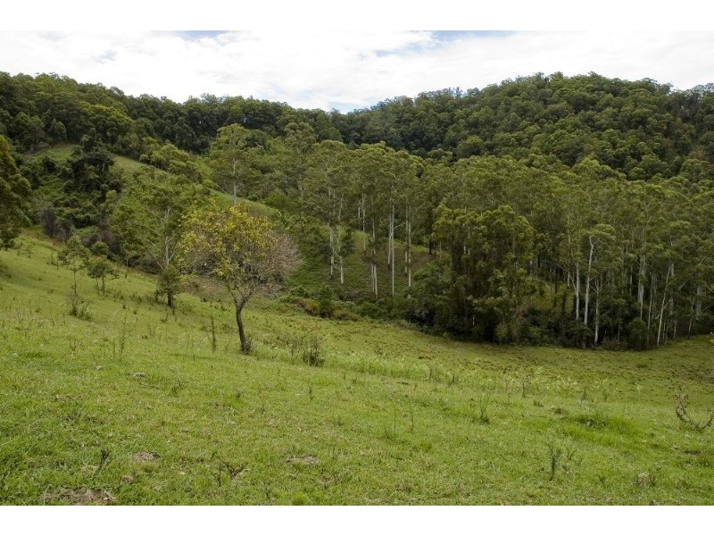 Strathcedar NSW 2429