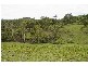 Strathcedar NSW 2429