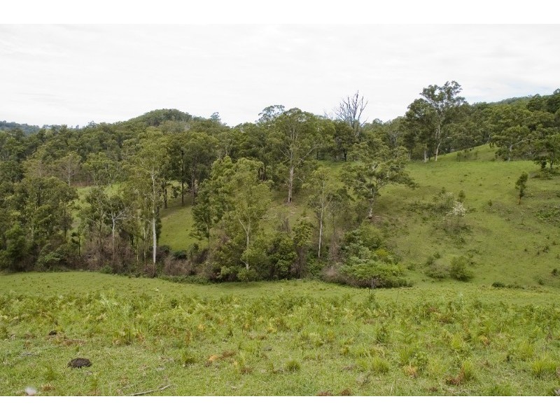 Strathcedar NSW 2429