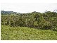 Strathcedar NSW 2429