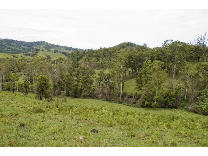 Strathcedar NSW 2429