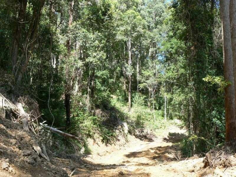 Langley Vale NSW 2426