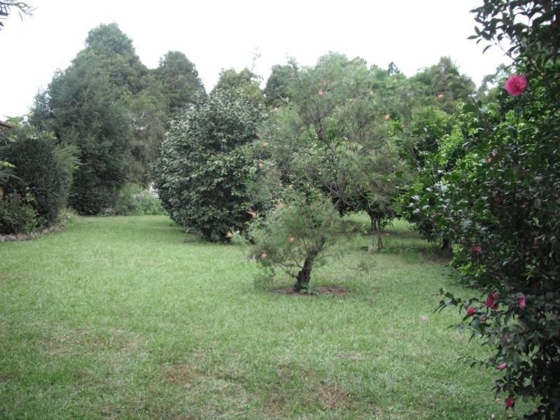 Taree NSW 2430
