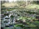 Taree NSW 2430