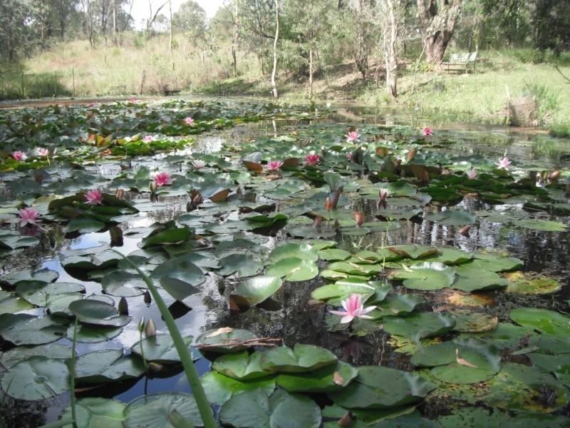 Taree NSW 2430