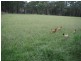 Taree NSW 2430