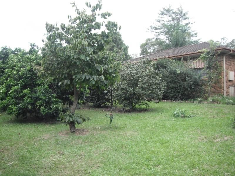 Taree NSW 2430