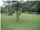 Taree NSW 2430