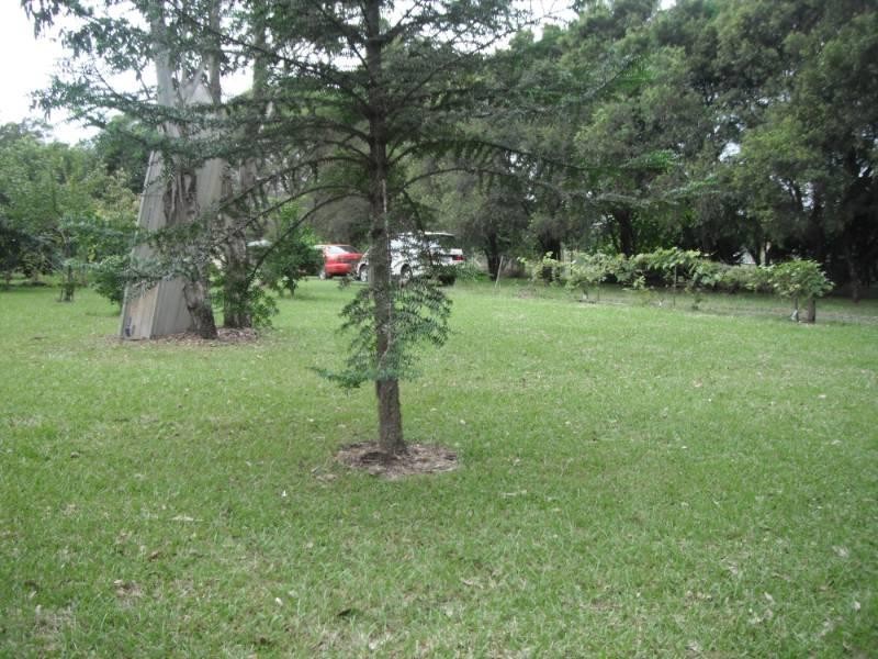 Taree NSW 2430