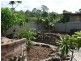 Wingham NSW 2429