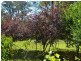 Taree NSW 2430