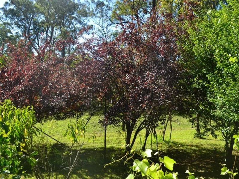 Taree NSW 2430